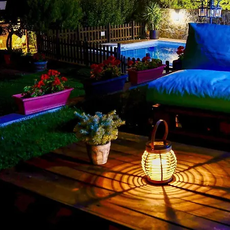 Valverde Ii ポテス